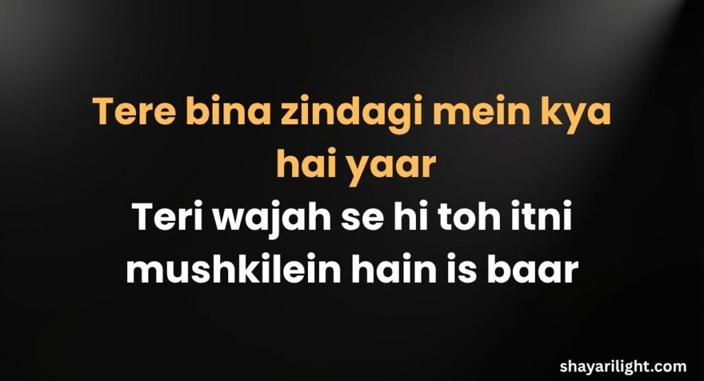 Funny Shayari for Friends in Hindi