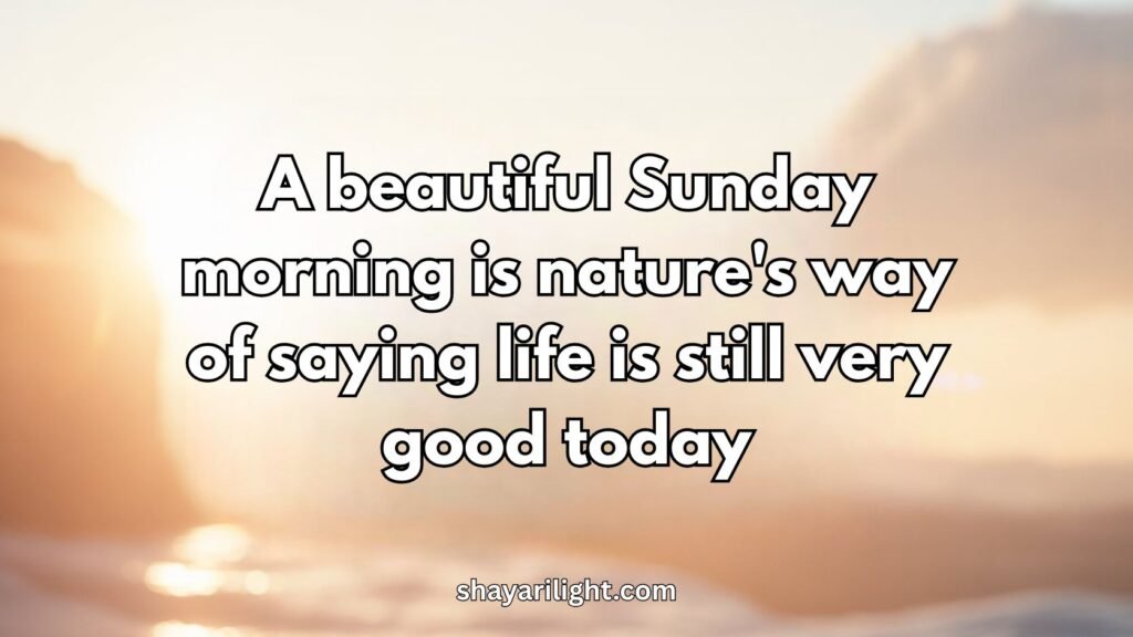 Beautiful Sunday Morning Quotes to Brighten Your Mood