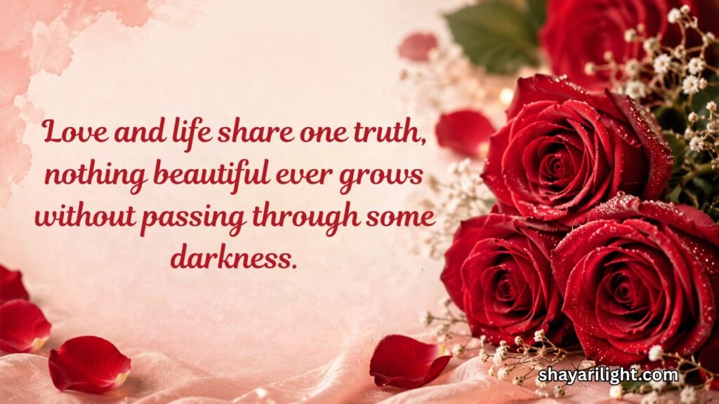 Deep Rose Quotes About Love and Life
